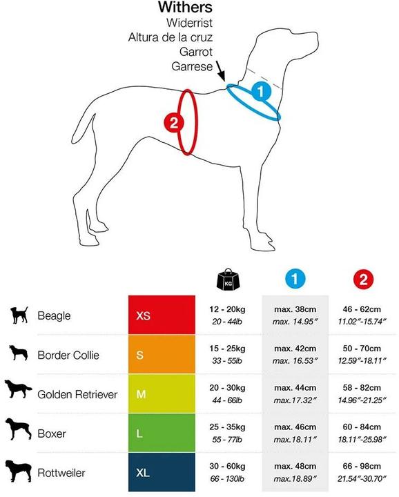 Produktbild Curli Geschirr Magnetic Belka Comfort (M, Hund, Allgemein)