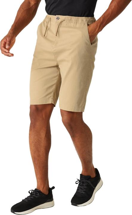 Actual product image Regatta Mens Aldan Chino Shorts (40)