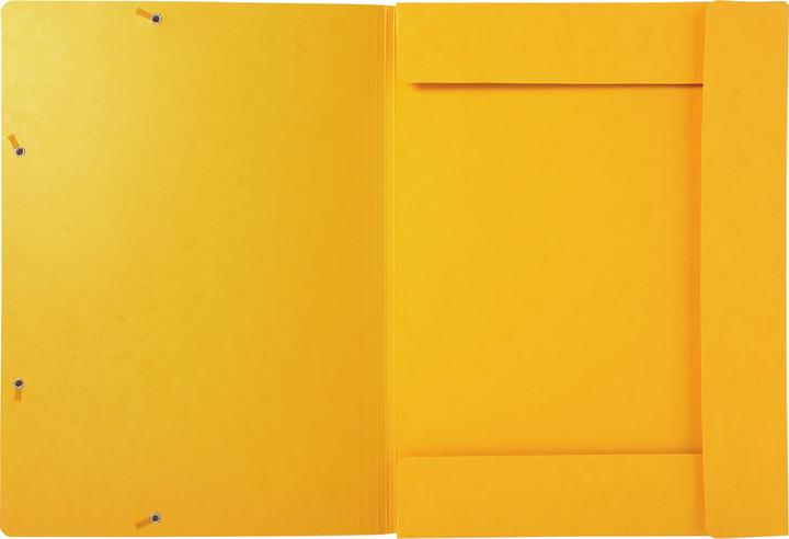 Actual product image Exacompta Collection folder with elastic band (A3, 1 x)