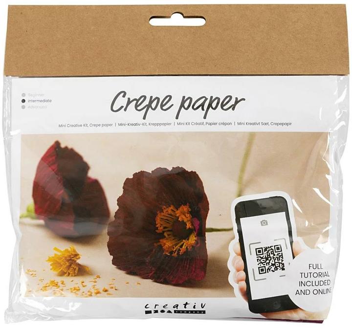 Creativ Company Mini Bastelset Krepppapier (105 g/m², 1.10 x)