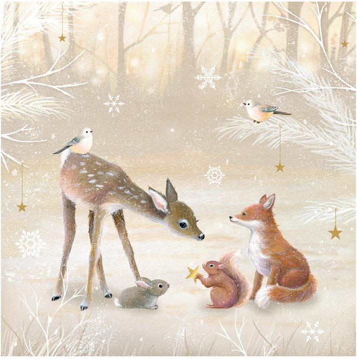 Immagine prodotto Magia d'inverno