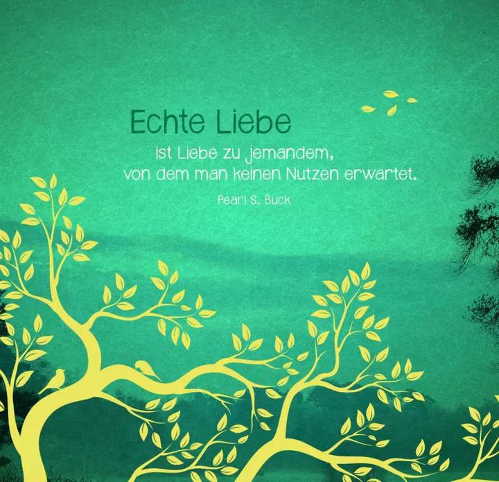 Actual product image Ancient wisdom of the trees (Hardcover, German)