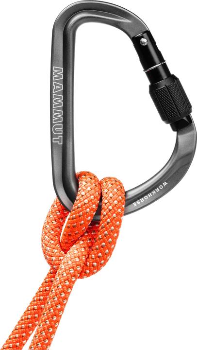 Produktbild Mammut Workhorse Screwgate