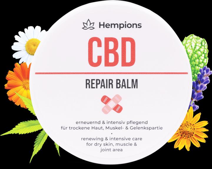 Produktbild Hempions CBD Repair Balm (Körpercreme, 50 ml)