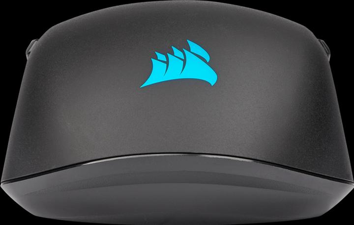 Actual product image Corsair M55 Pro (Cable)