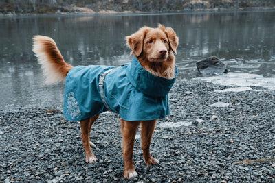 Actual product image Hurtta Monsoon Coat bilberry (65, Dog coat)