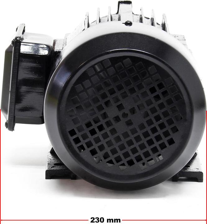 Actual product image Wiltec Elektromotor