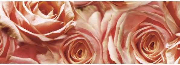 Produktbild Ursus Transparentpapier 115g/qm A4 VE=25 Blatt Flora Rosen (115 g/m², 25 x)
