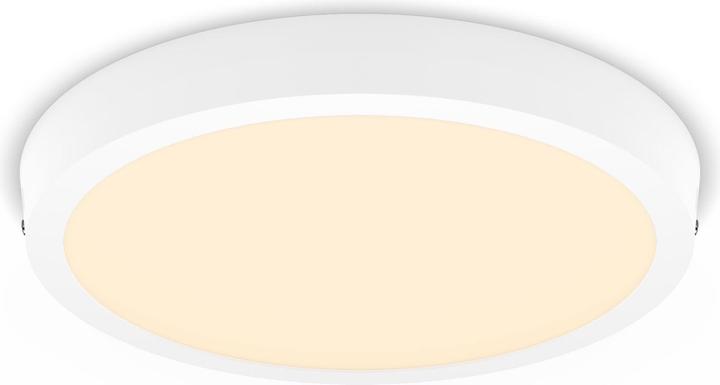 Actual product image Philips Slim Surface DL252 (2000 lm)