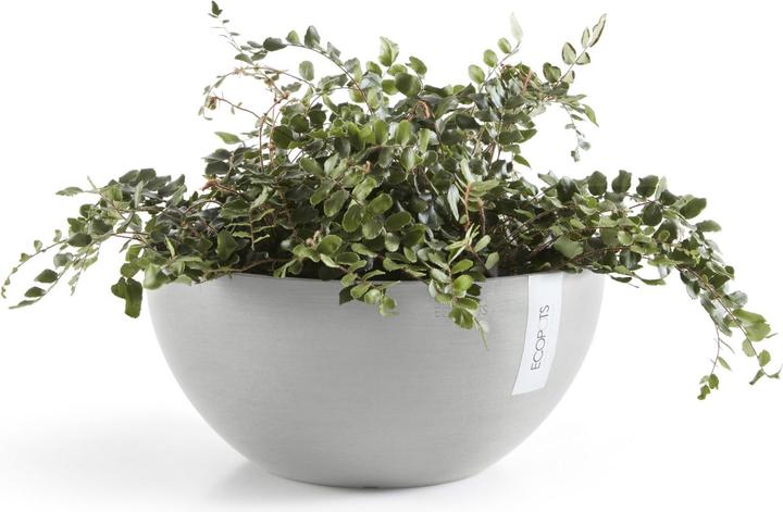Actual product image Ecopots Brussels (25 cm)
