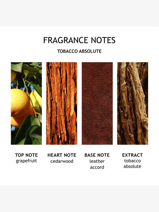 Produktbild Molton Brown Tobacco Absolute (300 ml)