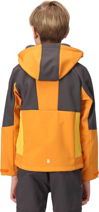 Produktbild Regatta Haydenbury Softshelljacke (128)