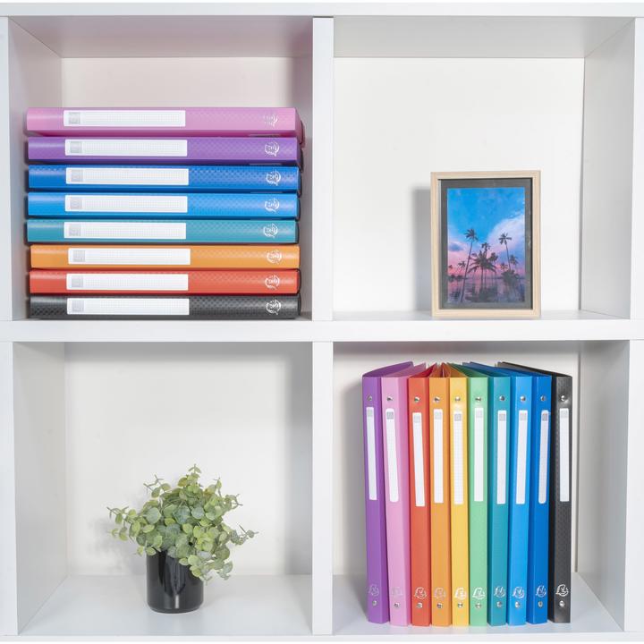 Actual product image Exacompta Ring binders (A4, 20 mm, 1 Piece)