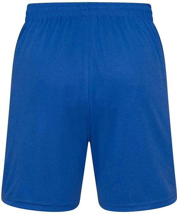 Actual product image Awdis Mens Shorts (XL)