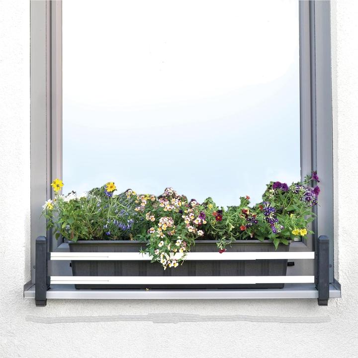 Image du produit ‎Green Creations Support pour caissettes à fleurs