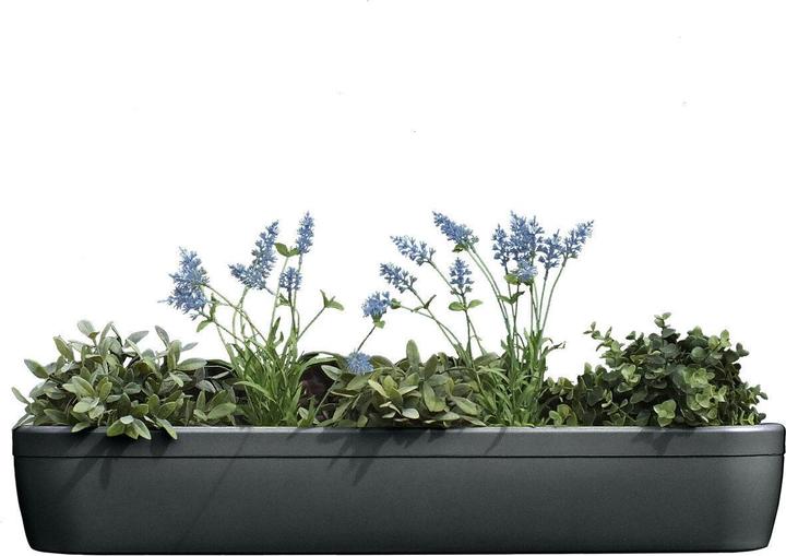 Produktbild Rephorm Blumenkasten Windowgreen 85 cm - Graphit (20 cm)