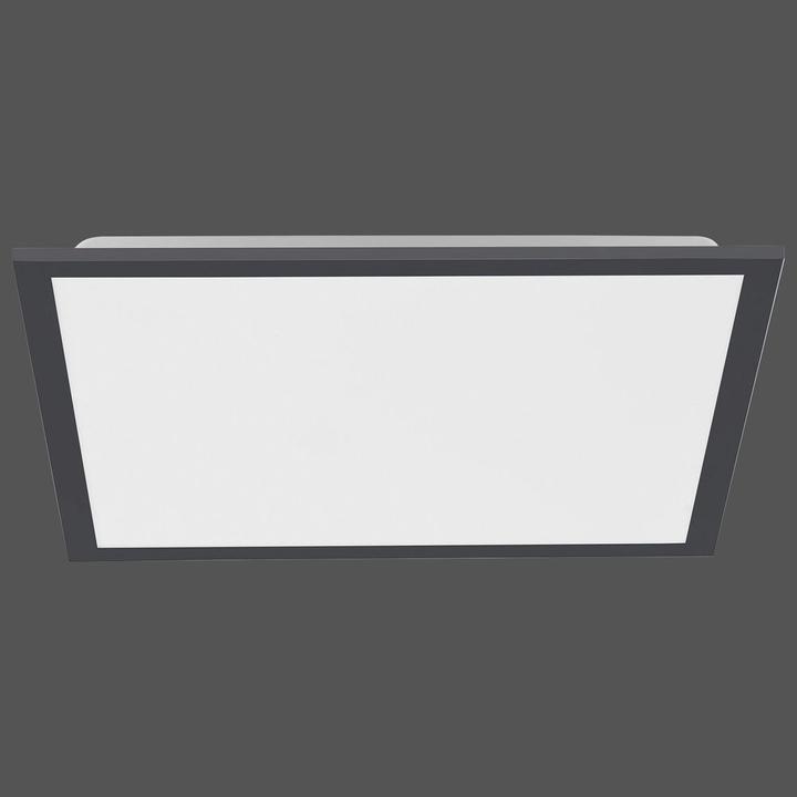 Produktbild Paul Neuhaus Flat (2500 lm)