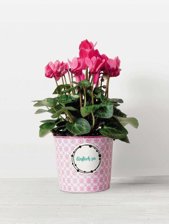 Produktbild Trodat Motivstempel Vintage