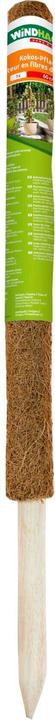 Actual product image Windhager Plant stick coconut (110 cm, 4.50 cm)