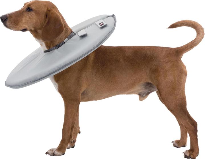 Image du produit Trixie Collier de protection (Chat, Chien)
