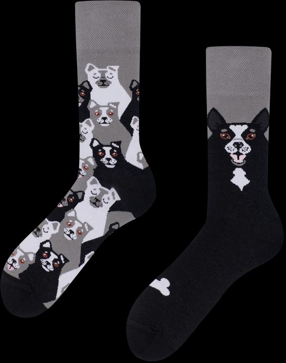 Produktbild Many Mornings Black Dog (35 - 38)