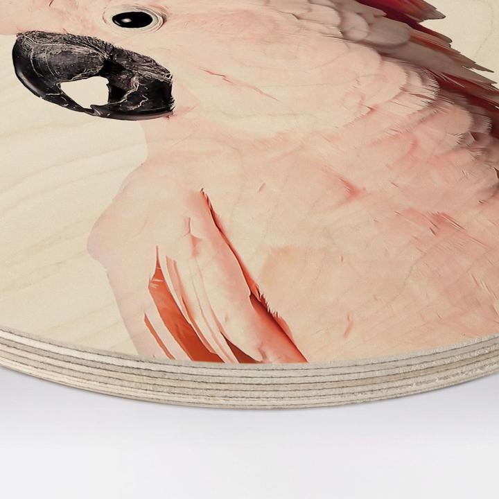 Immagine prodotto Trenddeko Cacatua rosa (Tondo/a)