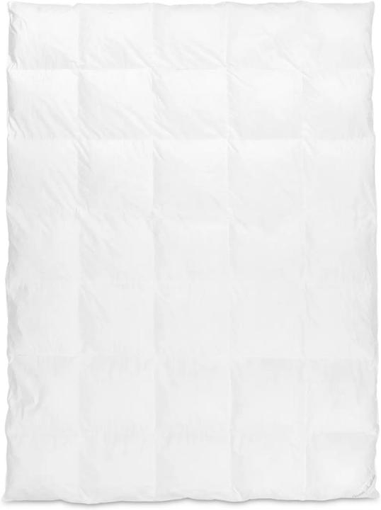 Produktbild Christian Fischbacher Duvet BASEL (160 x 210 cm)