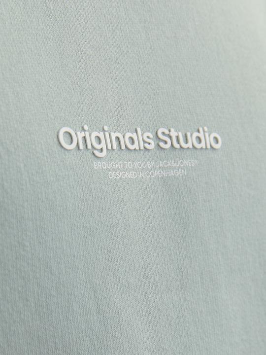 Immagine prodotto Jack & Jones Jorvesterbro Sweat Crew Neck Bn Mni (110)