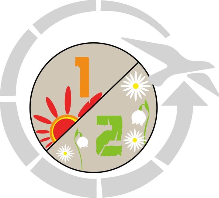 Actual product image Easy Camp Cosmos (210 cm)