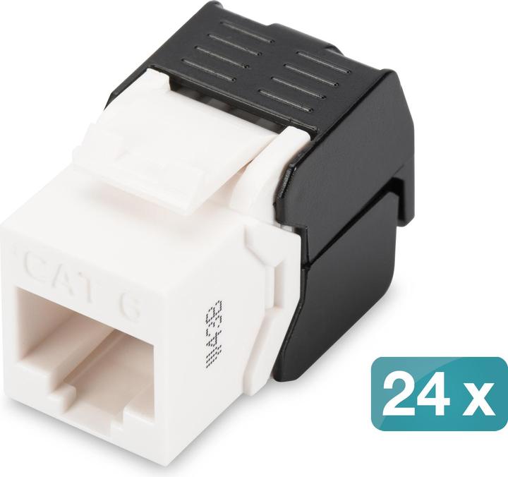 Produktbild Digitus CAT 6 Keystone-Buchse, ungeschirmt werkzeuglose Verbindung, 24er Set (Keystone Modul)