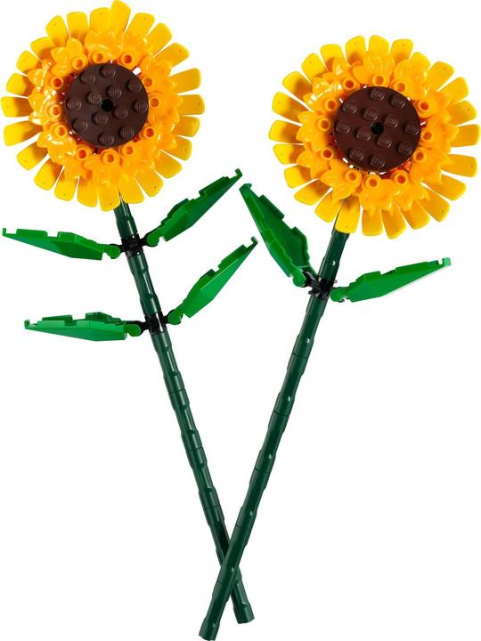 Actual product image LEGO Tournesol (40524, LEGO Iconic)