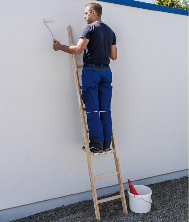 Image du produit Munk Échelle simple en bois (Échelle simple, 248 cm)