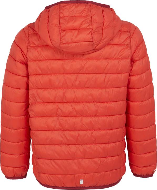 Actual product image Regatta Childrens/Kids Marizion Hooded Padded Jacket (164)