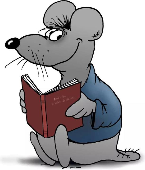 Immagine prodotto Uli Stein Cartoon-Geschenke: Uli Stein – Mäuse! (Tedesco, Pietra Uli, 2022)