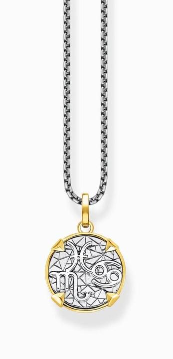 Image du produit Thomas Sabo Collier Elements of Nature or (Argent 925, 45 - 50 cm)