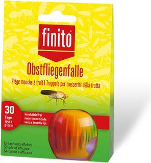 Actual product image Finito Fruit fly trap