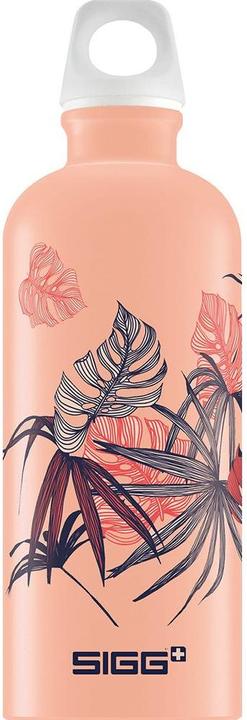 Rose timide