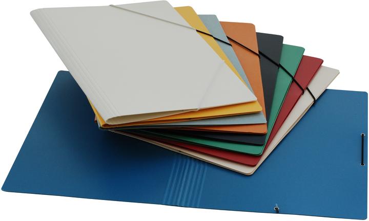 Actual product image Erola Pending folder A4 assorted without flaps (A4, 5 x)