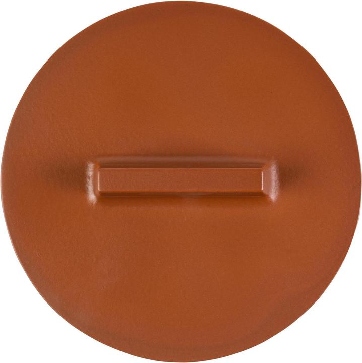 Image du produit Sambonet Cocotte Terra Cotta Cotto Curry, 24.5 cm (24.24 cm, Cocotte + faitout, Fonte)