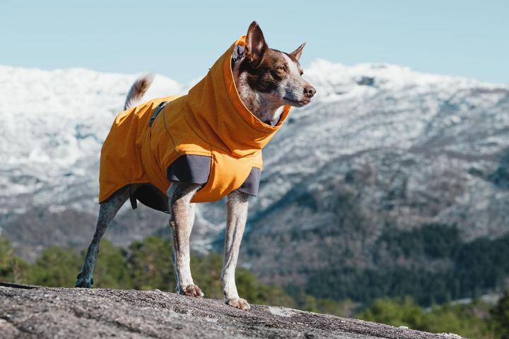 Immagine prodotto Hurtta Spedizione (80, Cappotto per cani)