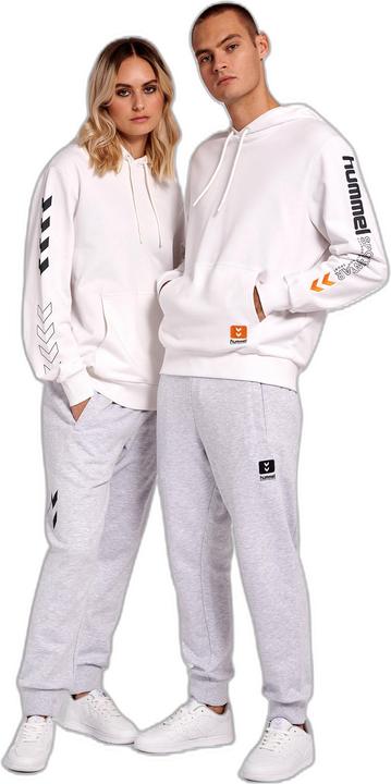 Actual product image hummel Lgc Birk Hoodie (XS)