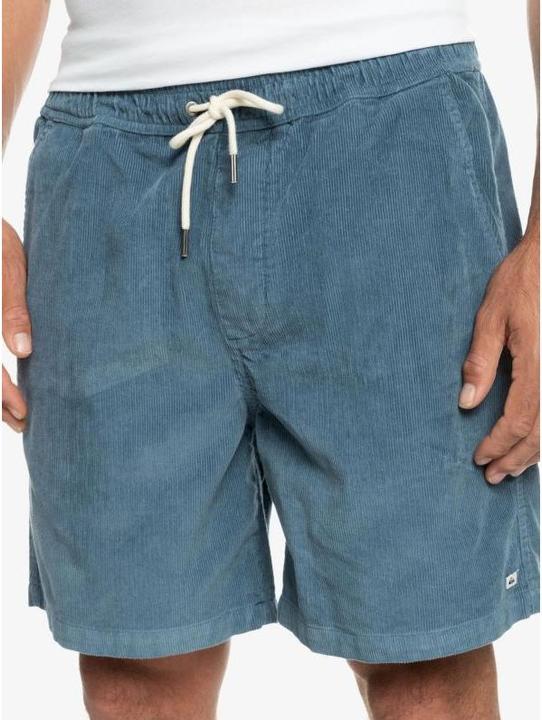 Actual product image Quiksilver Taxer Cord (L)