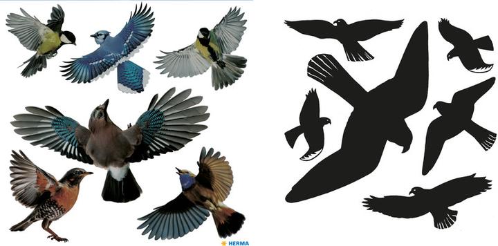 Actual product image HERMA Warning birds stickers