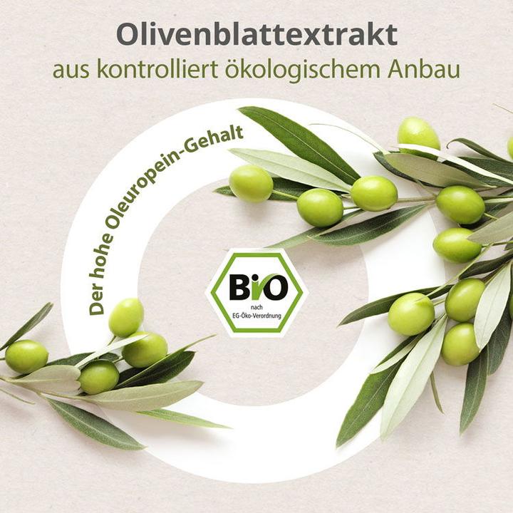 Produktbild Effective Nature Ashwagandha KSM-66 & Olivenblatt-Extrakt Bio (60 Stück, Kapseln)