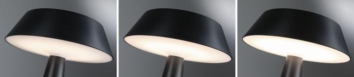 Actual product image Paulmann Solar table lamp Soala (320 lm)