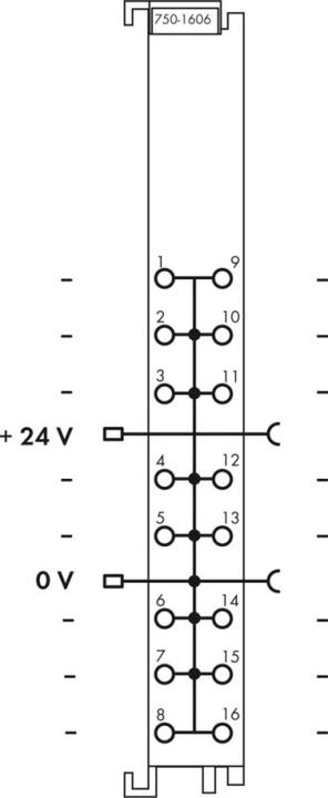 Actual product image Wago Potential multiplying cl