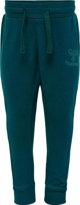 Image du produit hummel Fastwo Apple Pants (68)