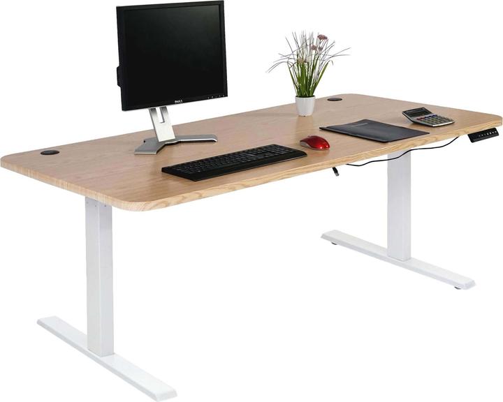 Immagine prodotto Swisshandel24 Scrivania (160 x 80 x 121 cm)