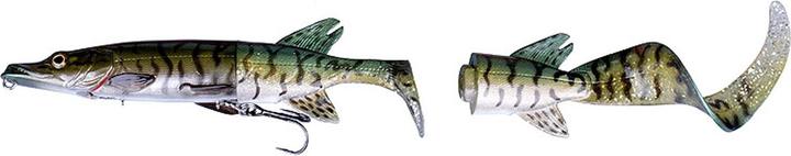 Brochet d'argent vert