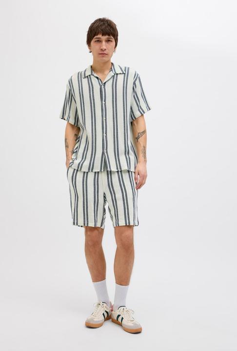 Immagine prodotto Jack & Jones Jorcoba Stripe Resort Shirt Ss Sn (L)
